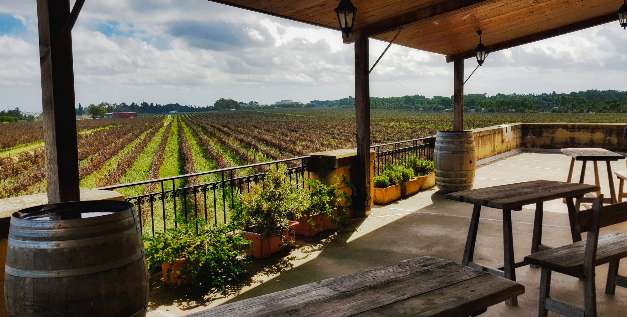 A view of rows of vines in a vineyard from a villa balcony with